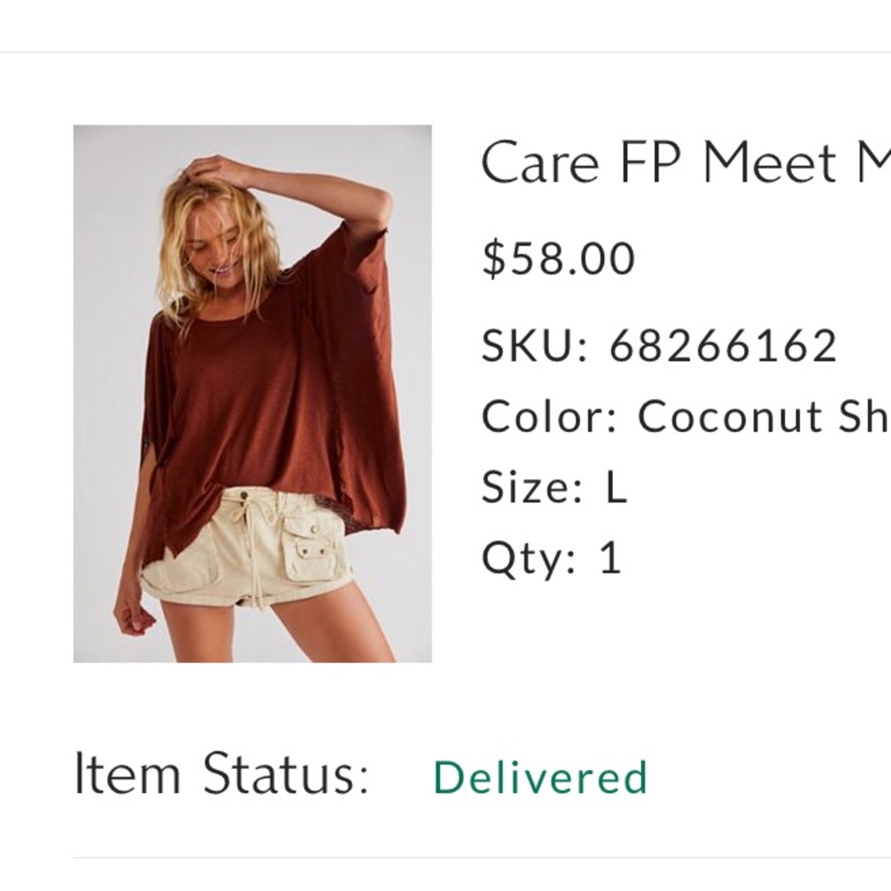 We The Free Coconut Brown Top - Free people